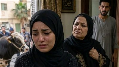 جوزي جاب عجل كبير