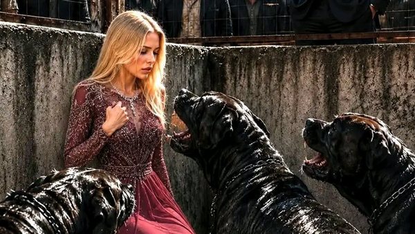 لمحة نيوز