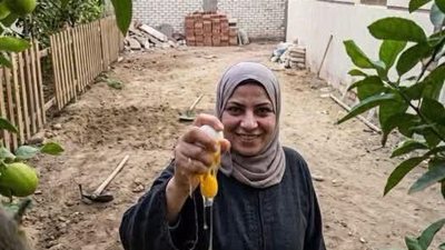 جارتي الجديده